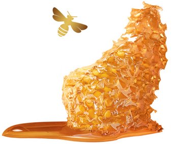 honey1