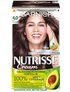 Garnier Nutrisse Cream 4.0