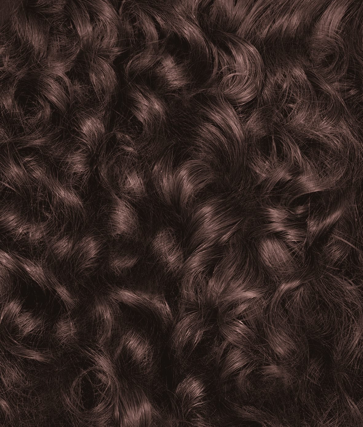 DMI_Nutrisse ultra color_haircolor_top swatch curly 4 15