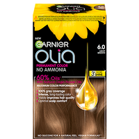 Garnier Olia 6.0